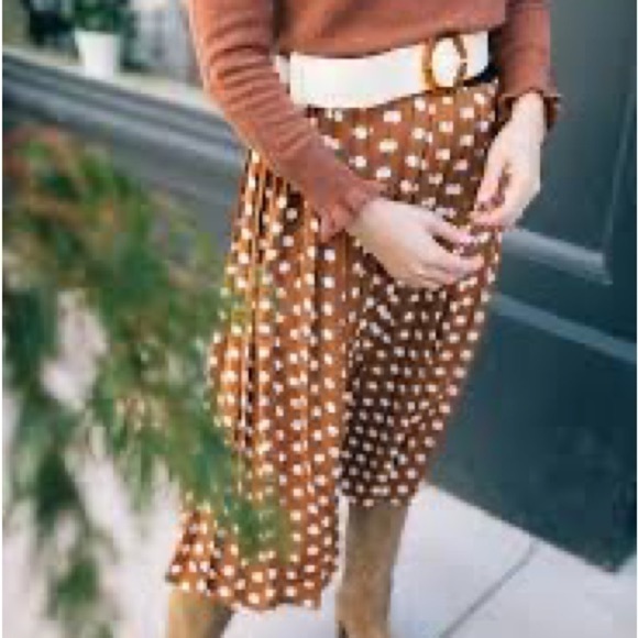 NEW Jillian Harris Brown Blogger’s Fav. Polka Dot Pleated Midi Skirt Plus Sz 2X - Picture 3 of 9